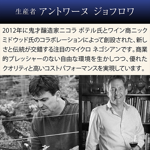 1本あたり3,(税込) 送料無料 渾身のブルゴーニュ赤4本セット 23弾 赤ワイン ピノノワール 飲み比べセット ワインセット 浜運
