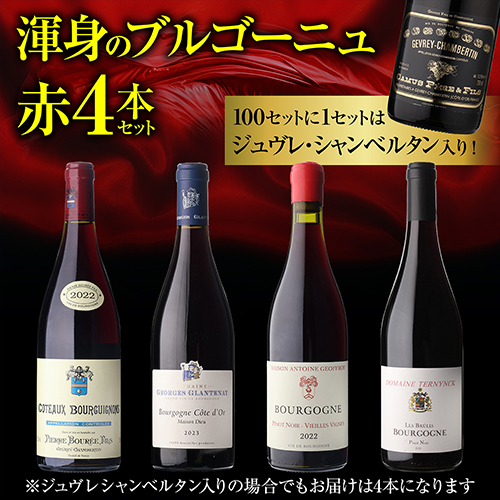 1本あたり3,(税込) 送料無料 渾身のブルゴーニュ赤4本セット 23弾 赤ワイン ピノノワール 飲み比べセット ワインセット 浜運