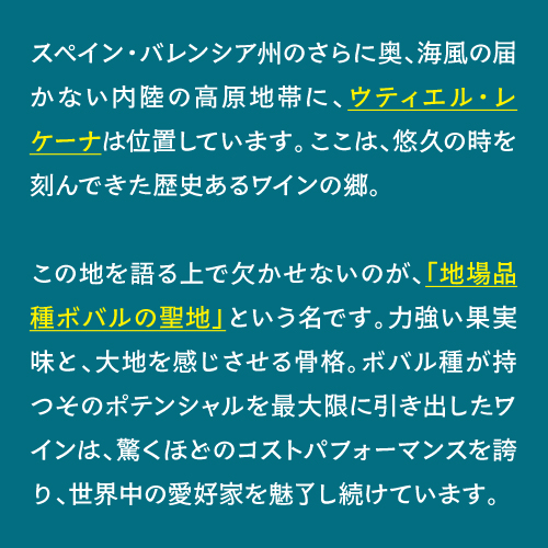 1本あたり1, 税込 送料無料 パラシオ デ ニダ オレンジ 750ml 12本入 スペイン バレンシア オレンジワイン ケース 浜運