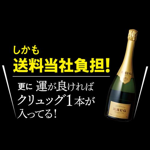 シャンパンセット シャンパン 実力派メゾンだけを集めた 高級 辛口 シャンパン 5本 セット 44弾 送料無料 1本/4,800円 浜運A_3