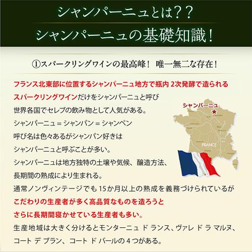 シャンパンセット シャンパン 実力派メゾンだけを集めた 高級 辛口 シャンパン 5本 セット 44弾 送料無料 1本/4,800円 浜運A_4