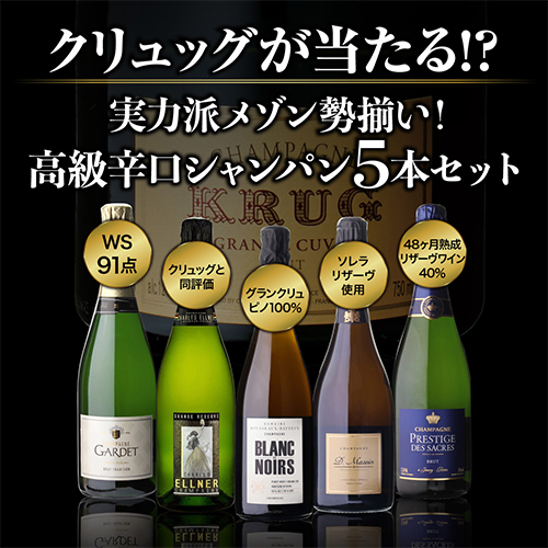 シャンパンセット シャンパン 実力派メゾンだけを集めた 高級 辛口 シャンパン 5本 セット 44弾 送料無料 1本/4,800円 浜運A_1