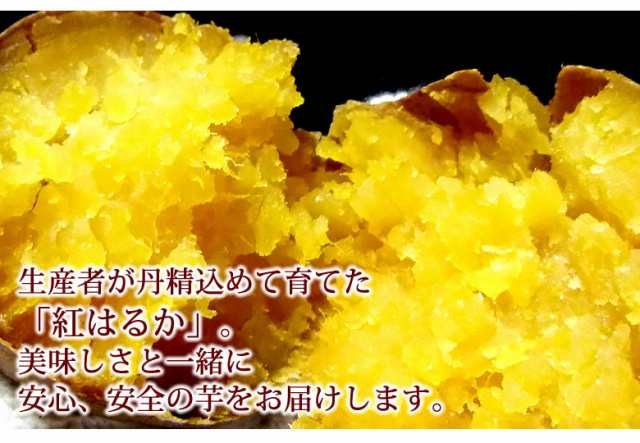 Foodys　さつまいも　サツマイモ　紅蜜芋　焼の通販はau　マーケット－通販サイト　PAY　訳あり　au　べにはるか　紅はるか　箱込（内容量9kg＋不良補償分500g)　無選別　マーケット　10kg　PAY　送料無料　熊本・宮崎県産