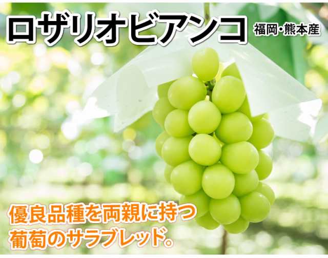 ロザリオビアンコ ぶどう 送料無料 1kg 2 3房 2箱購入で1箱おまけ 福岡 熊本県産 シャインマスカット 葡萄 ブドウの通販はau Pay マーケット Foodys