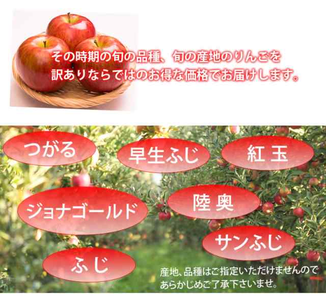 りんご 訳あり リンゴ 送料無料 約1 5kg 長野 青森県産 2セット注文で1セットおまけ お取り寄せ サンふじ つがる ジョナゴールド ふじ の通販はau Pay マーケット Foodys