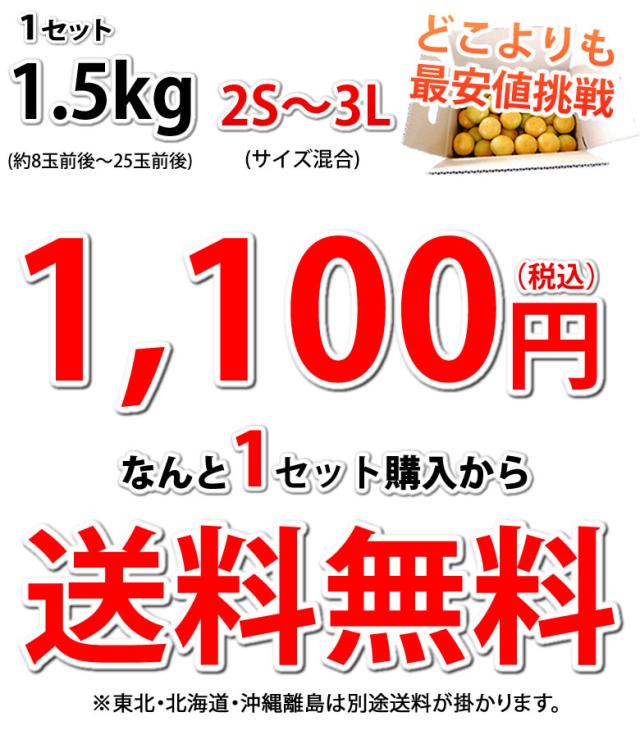 みかん 訳あり 送料無料 1.5kg 2セット購入で1セットおまけ 3セット