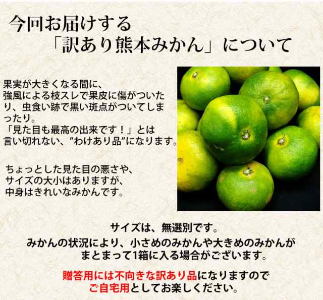 みかん 5kg 送料無料 訳あり 箱込（内容量4kg＋補償分500g) 無選別 熊本みかん 極早生みかん 早生みかん 温州みかん蜜柑 ミカンの通販はau  PAY マーケット - Foodys