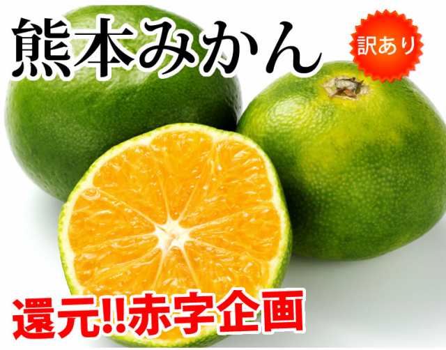 みかん 5kg 送料無料 訳あり 箱込（内容量4kg＋補償分500g) 無選別 熊本みかん 極早生みかん 早生みかん 温州みかん蜜柑 ミカンの通販はau  PAY マーケット - Foodys