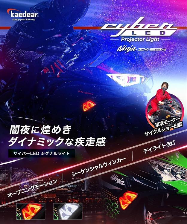 Kaedear(カエディア) 【4580675594593】 KDR-ZX25RSL1 Cyber LED