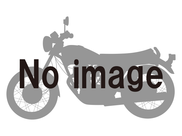 DAYTONA(デイトナ)  【4909449585573】 25796 フェンダーレスEDGE NINJA400/250の通販は 12,147円