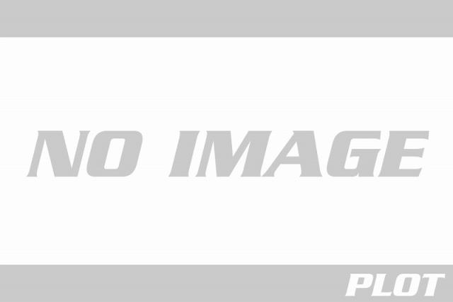 【送料無料】【ヴォーグ】 【4562310072079】VORGUE     オイルクーラーガード スーパーブラック   DUCATI SUPERSPORTS 17-18 VGD4213 SBK【キャンセル・代引き不可商品】の通販は