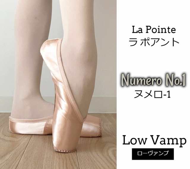 ポアント （ワガノワ・クラス レベルアップ ポアント・レッスン