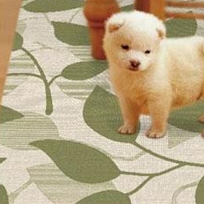 ペット 滑り止め マット シート 犬 老犬 滑り止めシート 滑り止めマット 防水 拭ける カーペット フローリング 床 滑らない 激安 65 90 の通販はau Pay マーケット アットカグ ペット 滑り止め マット シート 犬 老犬 滑り止めシート 滑り止めマット 防水 拭ける カーペット フローリング 床 滑らない 激安 65 90 の通販はau Pay マーケット アットカグ