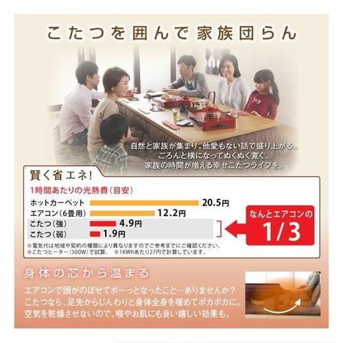 こたつ布団 掛布団 敷布団 2点セット 掛け敷きセット 上下 掛け布団 こたつマット 中敷き布団 カーペット ラグマット 絨毯 厚手 4尺 長方形 80×120 天板用 ブルー 青 レッド 赤 2人用 二人用 3人用 三人用 4人用 家族 ピーチスキン 軽量 毛布 北欧 姫系 和室 和風 暖かい_16