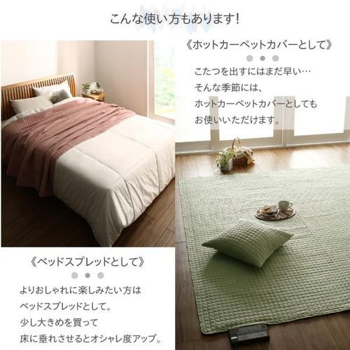 こたつ布団カバー 上掛け カバー 汚れ 防止 こたつカバー 上掛け 上掛 薄掛け 薄手 上掛け カバー こたつ掛け布団カバー マルチカバー サロン 毛布 ブランケット 掛け ソファーカバー ソファカバー ( マルチカバー200×300 長方形 ) ( 80×120 80×135 80×150 ) 天板用_11
