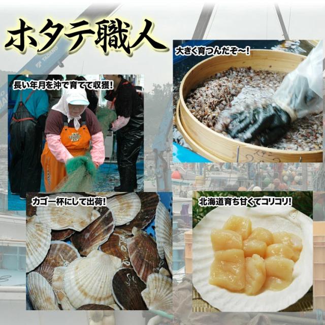 【大】ホタテ 貝柱 1kg 前後 (41〜60玉前後) 北海道産 ほたて 帆立 刺身 玉冷 生食 海鮮丼 寿司 新鮮急速バラ凍結で取出し楽です_4