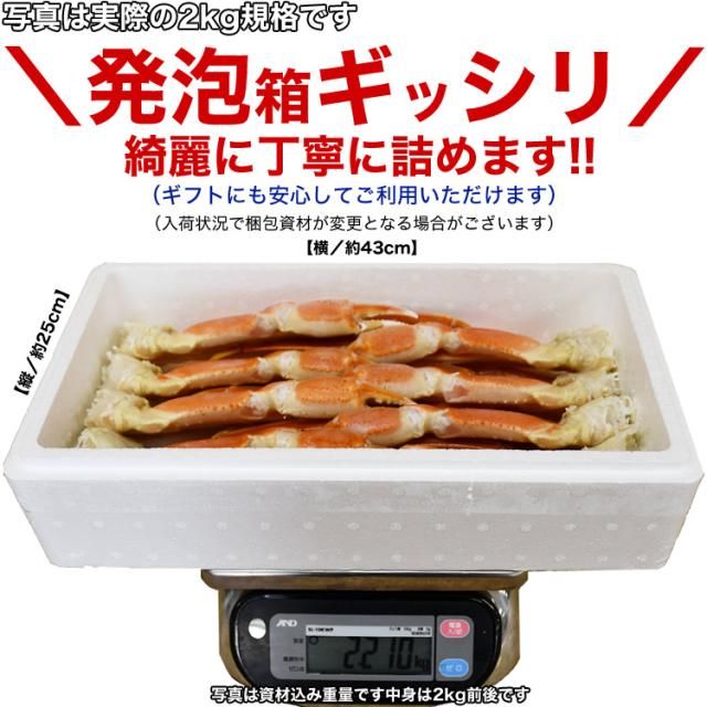 【大型】ズワイガニ 脚 総重量 2kg 前後 6肩前後 ずわい ズワイ カニ 蟹 かに 脚 折脚たし脚入る場合があります_5
