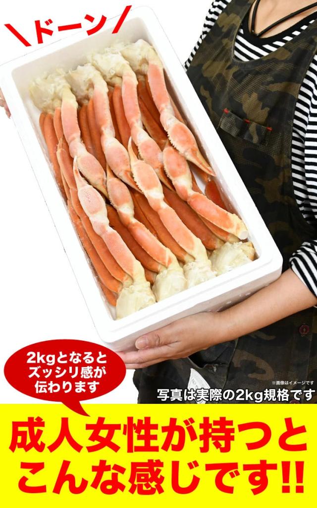 【大型】ズワイガニ 脚 総重量 2kg 前後 6肩前後 ずわい ズワイ カニ 蟹 かに 脚 折脚たし脚入る場合があります_6