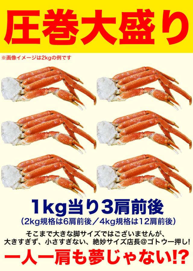 【大型】ズワイガニ 脚 総重量 2kg 前後 6肩前後 ずわい ズワイ カニ 蟹 かに 脚 折脚たし脚入る場合があります_4