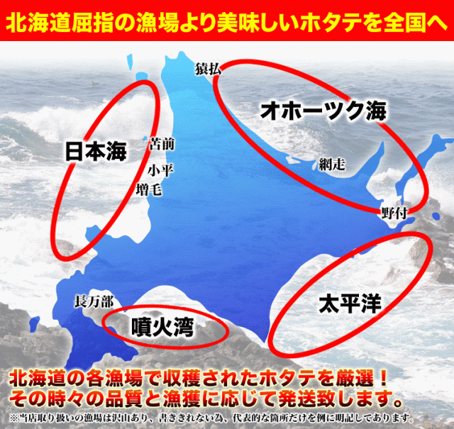 【大】ホタテ 貝柱 1kg 前後 (41〜60玉前後) 北海道産 ほたて 帆立 刺身 玉冷 生食 海鮮丼 寿司 新鮮急速バラ凍結で取出し楽です_5