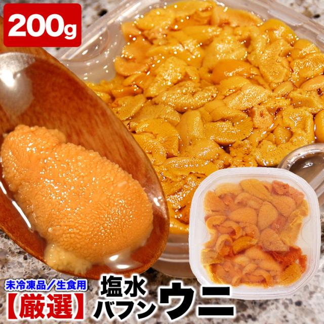 200g 塩水 バフンウニ 生 厳選A品プレミアム うに 雲丹 海栗 消費期限が短いため不在注意 お届け日指定不可／キャンセル不可 身の大小の指定不可 収獲でき次第順次発送の目安：1〜2週間前後／長くて3〜4週間