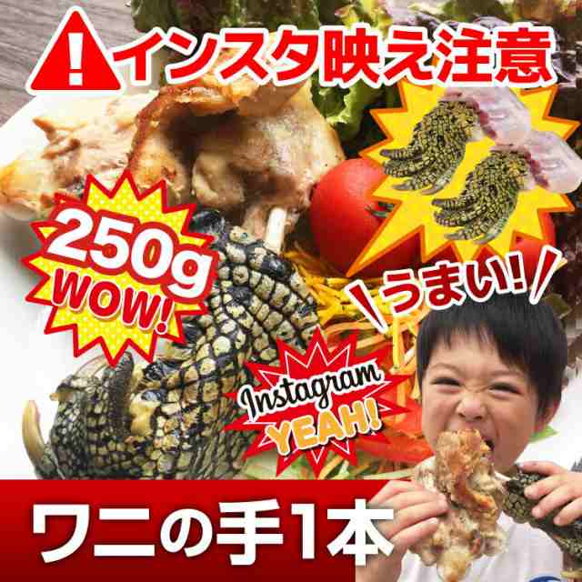 送料無料 本物のワニの肉 爪付き1本 250g以上 インスタに映える 面白い サプライズ でもヘルシーで美味しい ワニ肉 冷凍 の通販はau Pay マーケット 越若水産