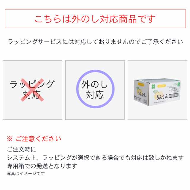 梅ジュース 梅の実入りドリンク ハニップC はちみつ入り清涼飲料水 うめとりんご 200g×15本×2セット 送料無料 北海道・沖縄は+825円 プ