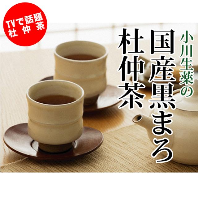 痩身秘茶 AX & Science Slim AX II セット 痩身秘茶® 石蓮花