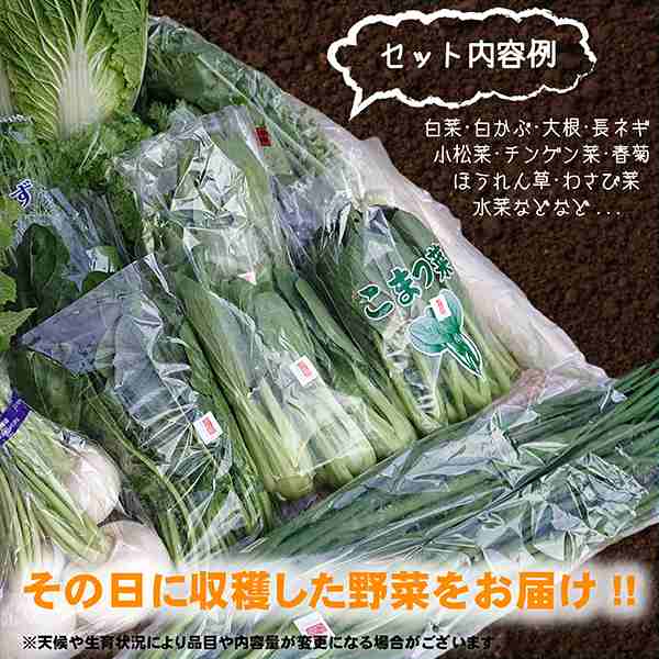 期間限定11月から2月まで】伊賀の有機野菜おまかせセット（送料込み 沖縄・北海道・離島を除く）の通販はau PAY マーケット -  CONNOISSEUR