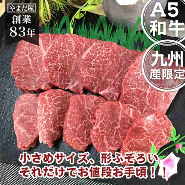 佐賀牛 宮崎牛 A5 ひれ ヒレ ミニステーキ フィレ ヘレ 500ｇ 九州産 黒毛和牛 牛肉 国産 和牛 高級 ステーキ 焼肉 お肉 牛 ギフトの通販はau Pay マーケット 肉のやまだ屋本店