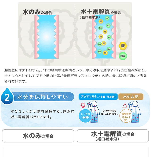 味の素 「アクアソリタ」 ゼリー りんご風味 130g×30個 【脱水症状対策に】【アクアソリタゼリー】の通販はau PAY マーケット -  ホスピマート