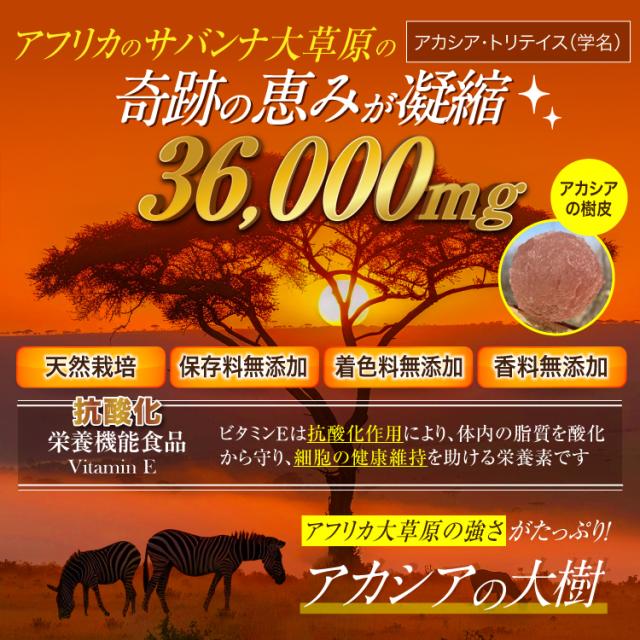アカ シア サプリ ポリフェノール アカシアファイバー 【6個セット】 カロテノイド アスタキサンチン サプリメント 抗酸化　ビタミンE　ユーグレナ　CoQ10　宝蔵メディカル 【大容量240粒】 ビタミンE 母の日 富山の薬屋 医薬品 GMP 工場製造 日本製_1