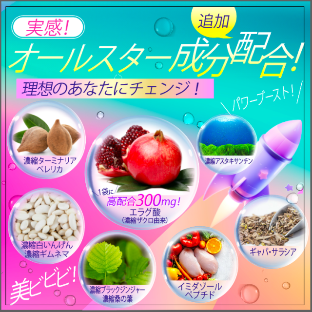 エラグ酸 サプリ 酸化マグネシウム 【10個+2個セット】 ザクロ ターミナリアベルリカ ベリリカ ブラックジンジャー ギャバ 桑の葉 アスタキサンチン 白いんげん ギムネマ イミダゾールペプチド ダイエット 宝蔵メディカル シボレタR_1