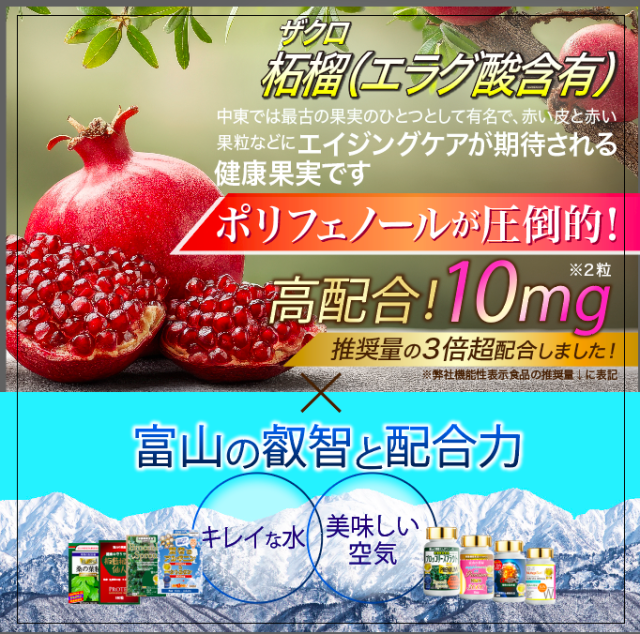 エラグ酸 サプリ 酸化マグネシウム 【10個+2個セット】 ザクロ ターミナリアベルリカ ベリリカ ブラックジンジャー ギャバ 桑の葉 アスタキサンチン 白いんげん ギムネマ イミダゾールペプチド ダイエット 宝蔵メディカル シボレタR_2