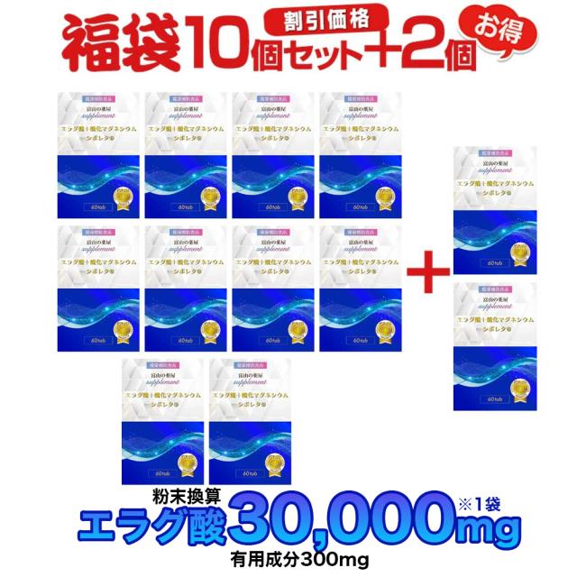 エラグ酸 サプリ 酸化マグネシウム 【10個+2個セット】 ザクロ ターミナリアベルリカ ベリリカ ブラックジンジャー ギャバ 桑の葉 アスタキサンチン 白いんげん ギムネマ イミダゾールペプチド ダイエット 宝蔵メディカル シボレタR_7