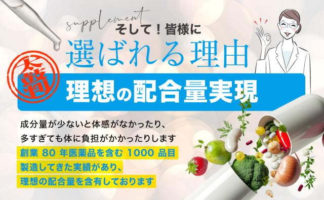 エラグ酸 サプリ 酸化マグネシウム 【10個+2個セット】 ザクロ ターミナリアベルリカ ベリリカ ブラックジンジャー ギャバ 桑の葉 アスタキサンチン 白いんげん ギムネマ イミダゾールペプチド ダイエット 宝蔵メディカル シボレタR_4