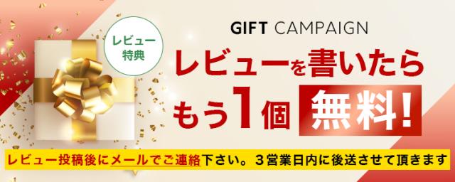 エラグ酸 サプリ 酸化マグネシウム 【10個+2個セット】 ザクロ ターミナリアベルリカ ベリリカ ブラックジンジャー ギャバ 桑の葉 アスタキサンチン 白いんげん ギムネマ イミダゾールペプチド ダイエット 宝蔵メディカル シボレタR_8