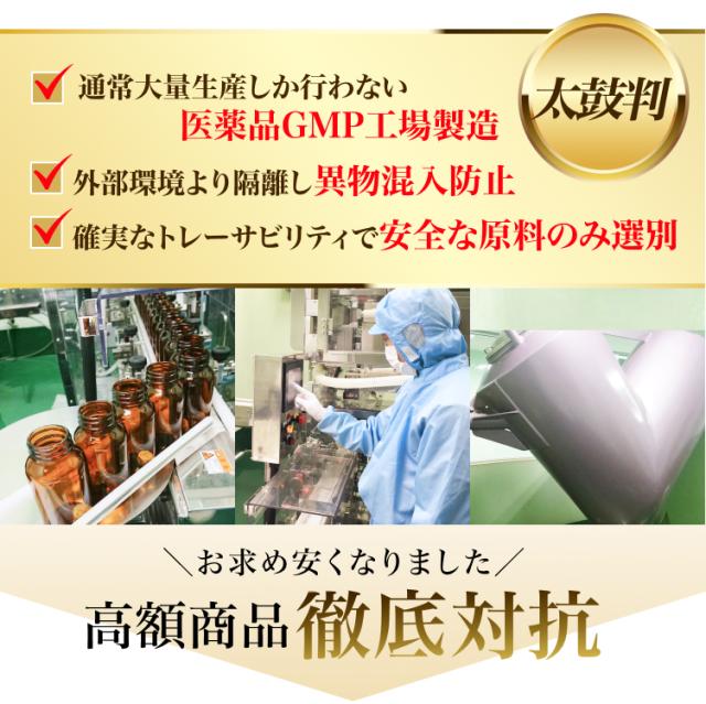 エラグ酸 サプリ 酸化マグネシウム 【10個+2個セット】 ザクロ ターミナリアベルリカ ベリリカ ブラックジンジャー ギャバ 桑の葉 アスタキサンチン 白いんげん ギムネマ イミダゾールペプチド ダイエット 宝蔵メディカル シボレタR_6