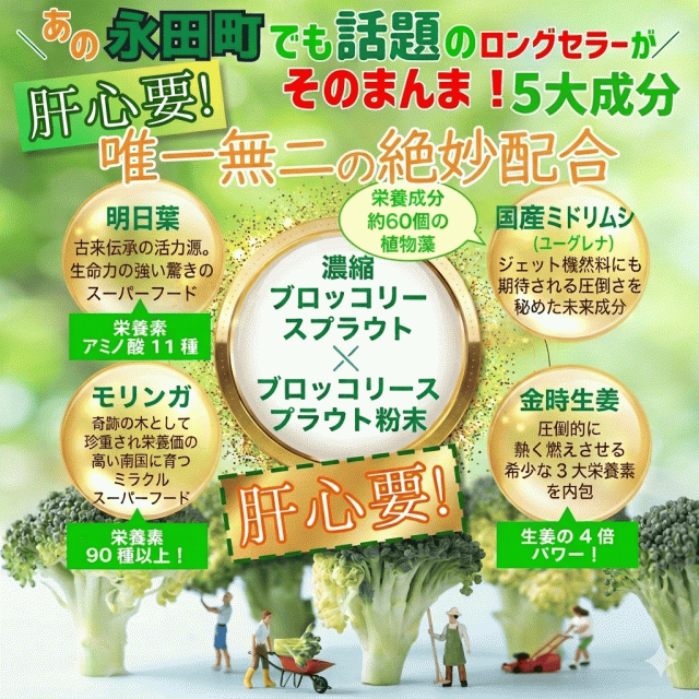 【レビュー投稿でもう1つ無料】ダイエット 機能性表示食品 エラグ酸 サプリ 12個セット スルフォラファン 肥満 体脂肪 ウエスト周り BMI 体重 内臓脂肪 血中中性脂肪 diet ブロッコリースプラウト 柘榴 ざくろ ザクロ エキス ターミナリア ベリリカ 宝蔵メディカル シボレタ？_2