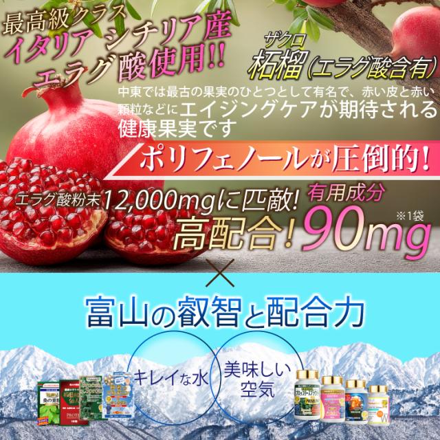 【レビュー投稿でもう1つ無料】ダイエット 機能性表示食品 エラグ酸 サプリ 12個セット スルフォラファン 肥満 体脂肪 ウエスト周り BMI 体重 内臓脂肪 血中中性脂肪 diet ブロッコリースプラウト 柘榴 ざくろ ザクロ エキス ターミナリア ベリリカ 宝蔵メディカル シボレタ？_1