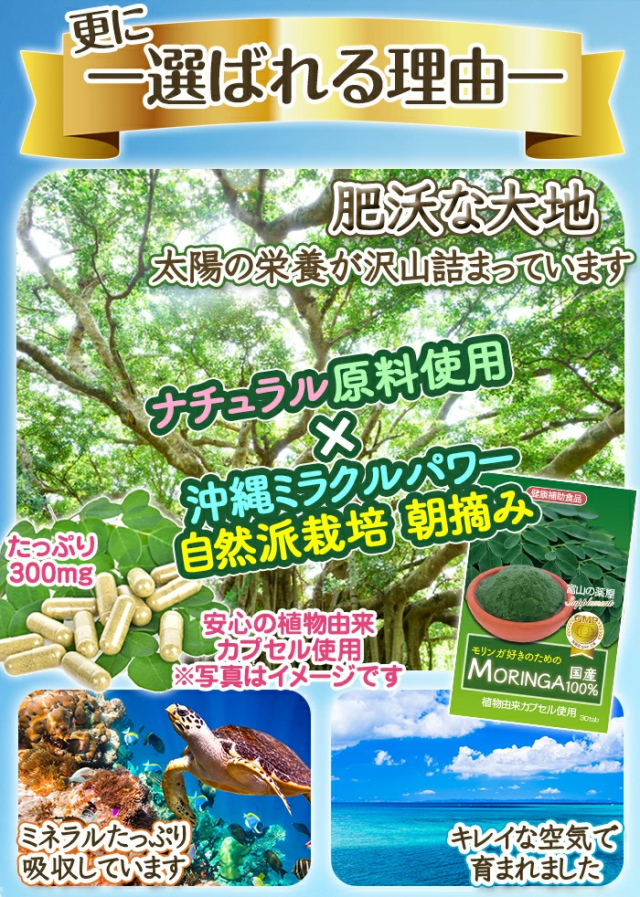 モリンガ サプリ 《福袋12個＋2個無料》 1粒で300mg圧倒的高配合！ 国産 有機栽培 原料 90種類以上の栄養素 野菜不足 【レビューで店舗最大特割クーポン】 MORING 植物由来カプセル 健康食品 スーパーフード サプリメント 粒 パウダー ではありません 日本製 宝蔵メディカル_2
