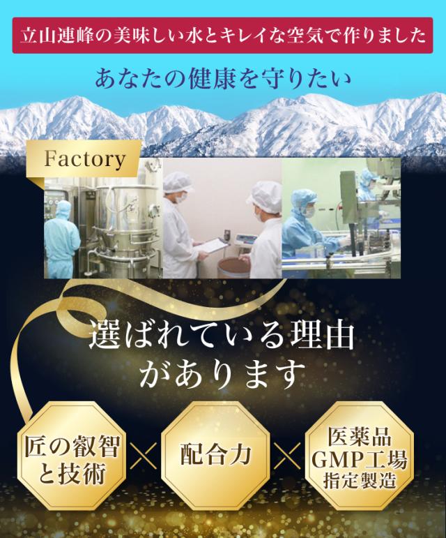 【レビュー投稿でもう1つ無料】ダイエット 機能性表示食品 エラグ酸 サプリ 12個セット スルフォラファン 肥満 体脂肪 ウエスト周り BMI 体重 内臓脂肪 血中中性脂肪 diet ブロッコリースプラウト 柘榴 ざくろ ザクロ エキス ターミナリア ベリリカ 宝蔵メディカル シボレタ？_5