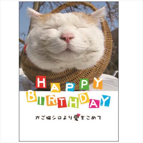 学研ステイフル かご猫 誕生日カード 豆ブック B かご猫 カード ポストカード バースデー 誕生日カードの通販はau Pay マーケット 東急ハンズネットストア