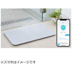 ★issin スマートバスマット SBM22U01LJ-GY [グレー]の通販は