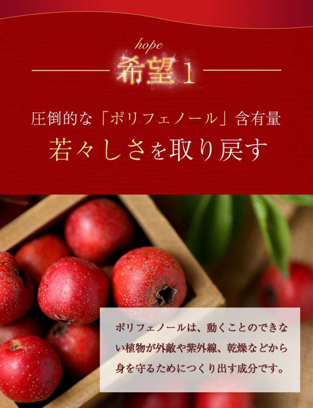 福君山 さんざし 118g 山査羔 中華お菓子 サンザシのお菓子 中華食品