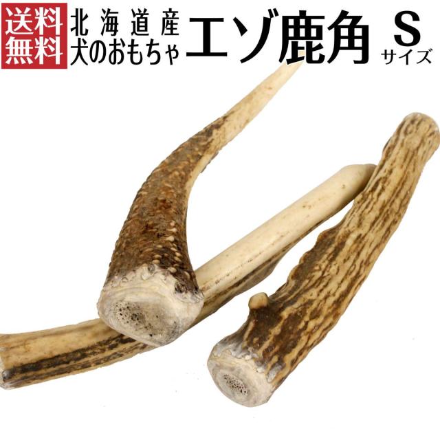小 中型犬用 犬 鹿の角 おもちゃ 北海道産 角 ガム エゾ鹿 無添加 蝦夷鹿 デンタルケア 口臭予防 小 中型犬用 Sの通販はau Pay マーケット ピアニッシモ