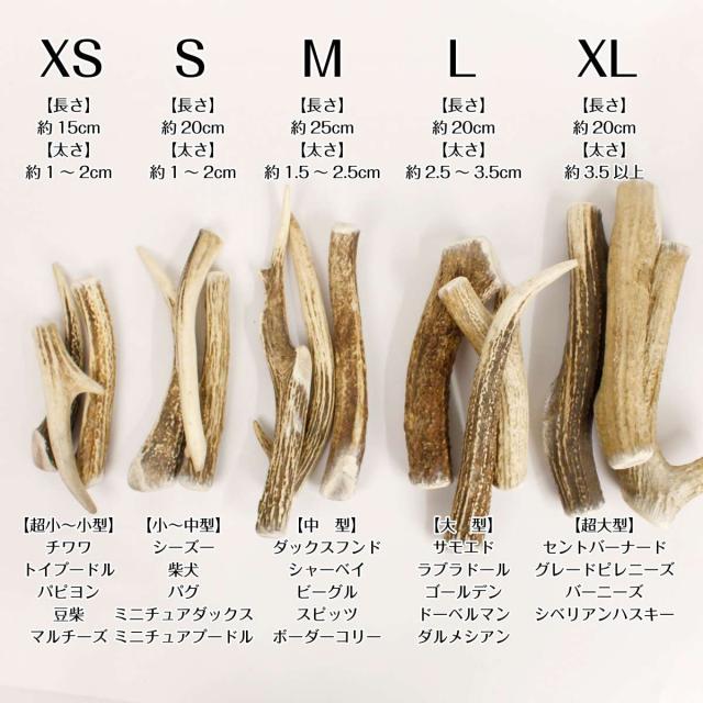 小 中型犬用 犬 鹿の角 おもちゃ 北海道産 角 ガム エゾ鹿 無添加 蝦夷鹿 デンタルケア 口臭予防 小 中型犬用 Sの通販はau Pay マーケット ピアニッシモ