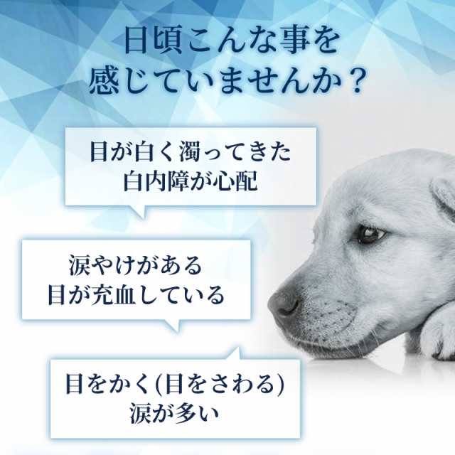 メール便無料 目の健康維持 6成分配合 犬用サプリ チキン味錠剤 毎日愛眼 ブルーベリー ルテイン 1袋60粒入り の通販はau Pay マーケット ペットサプリのウィズペティ