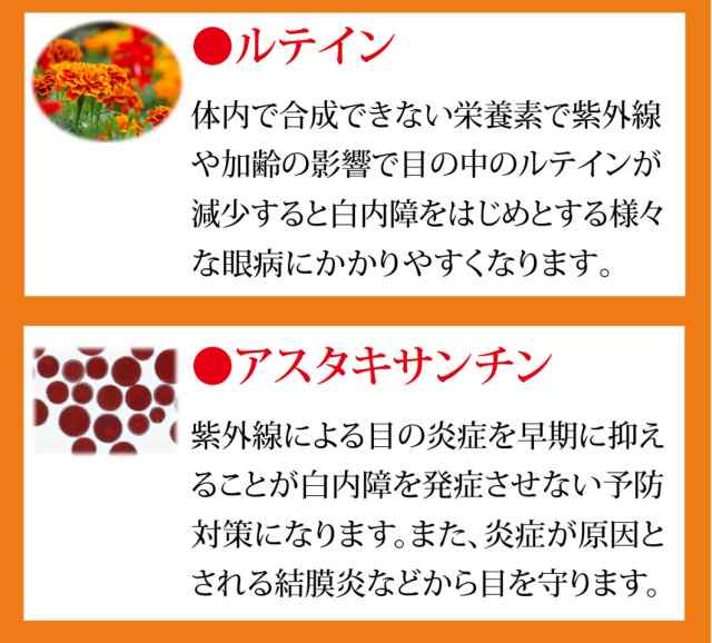 メール便無料 犬用の目のサプリ ブルーベリー ルテイン ペットサプリ 毎日愛眼 ブルーベリー ルテイン チキン味 錠剤 １袋6の通販はau Pay マーケット ペットサプリのウィズペティ