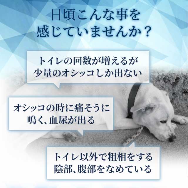 メール便無料】（腎臓・泌尿器の健康維持）【7成分配合】【犬用サプリ